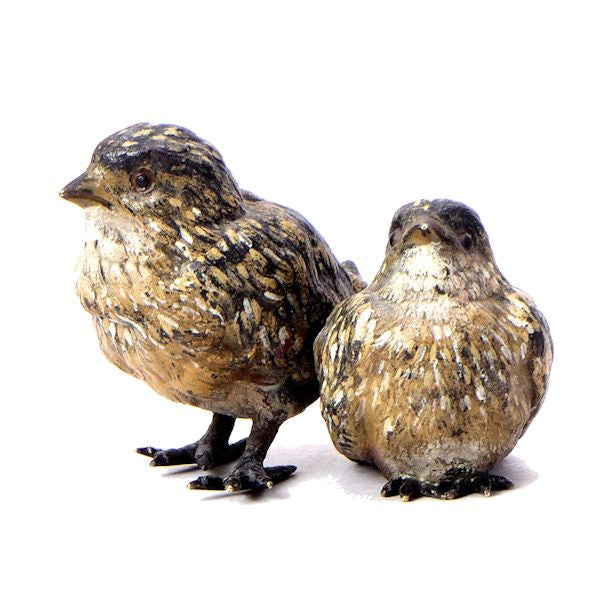 Vienna bronze sparrows