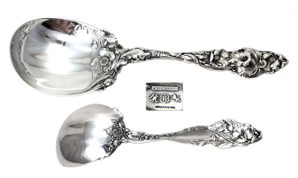 Silver serving spoon