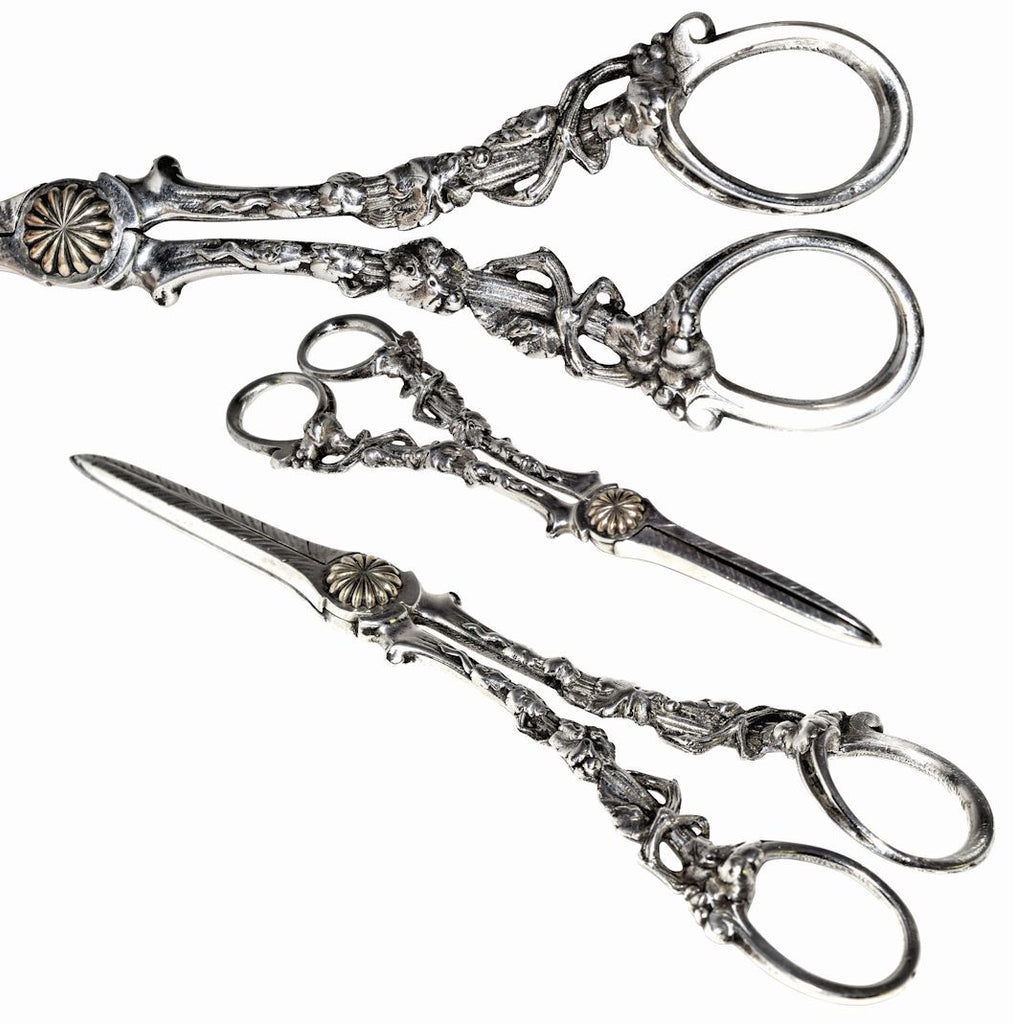 Silver grape shears