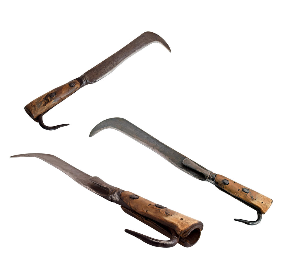 Italian vineyard billhook